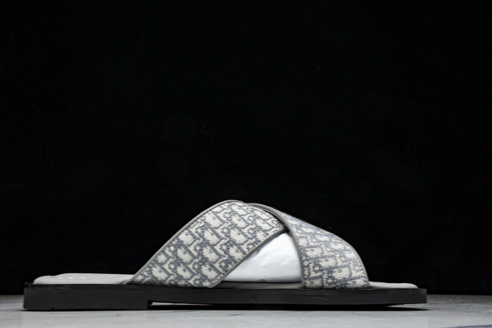 D1R* SLIDE copshoe DR-SLIDE 016